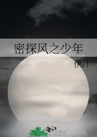 密探风之少年