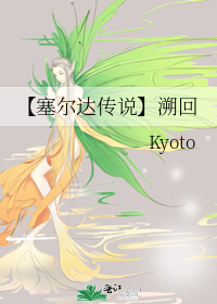 【塞尔达传说】溯回