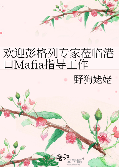 欢迎彭格列专家莅临港黑指导工作