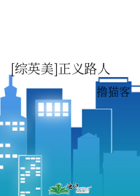 [综英美]正义路人