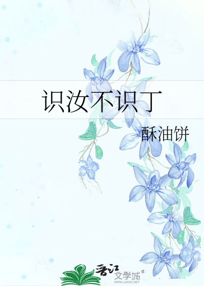 识汝不识丁
