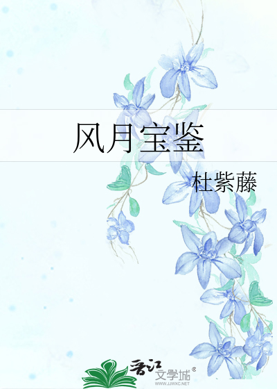 风月宝鉴