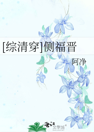 [综清穿]侧福晋