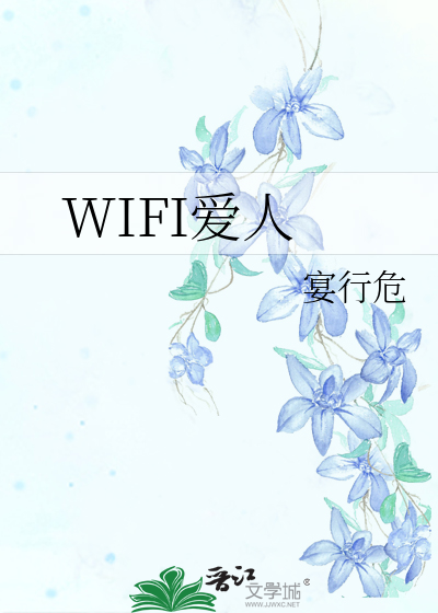 WIFI爱人