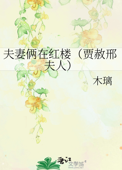 夫妻俩在红楼（贾赦邢夫人）