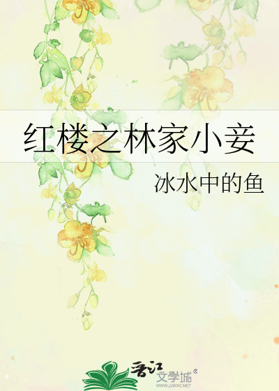 红楼之林家小妾