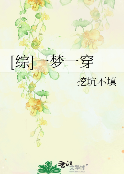 [综]一梦一穿