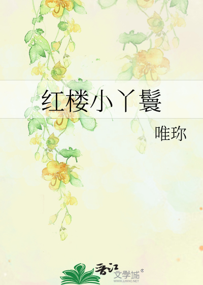 红楼小丫鬟