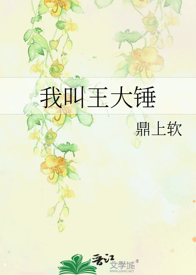 我叫王大锤