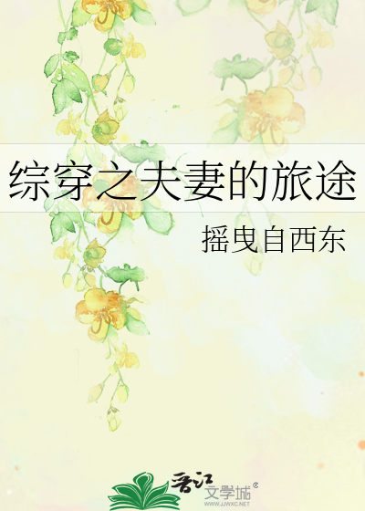 综穿之夫妻的旅途