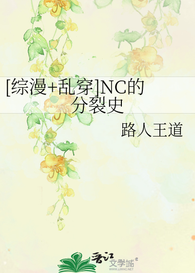 [综漫+乱穿]NC的分裂史