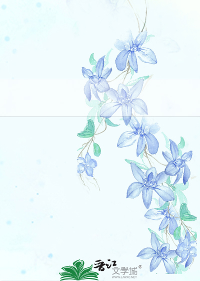 浮华背后