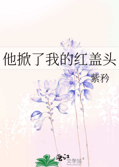 他掀了我的红盖头
