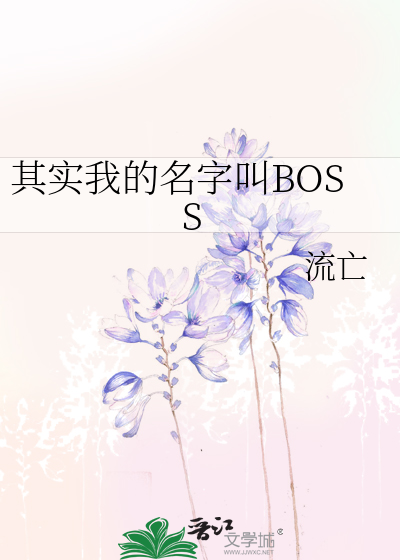 其实我的名字叫BOSS