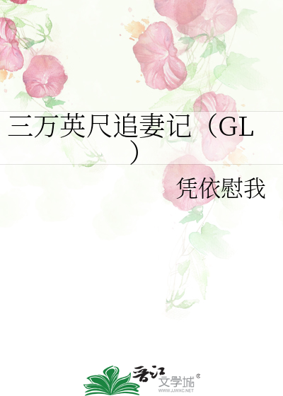 三万英尺追妻记（GL）