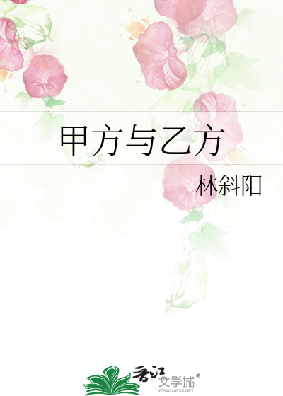甲方与乙方