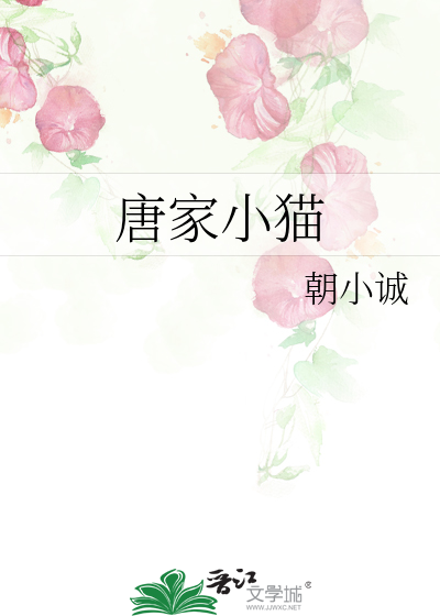 唐家小猫