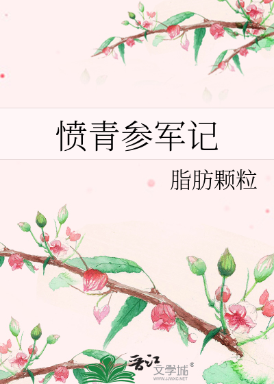 愤青参军记