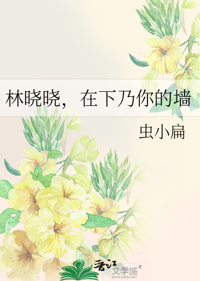 林晓晓，在下乃你的墙