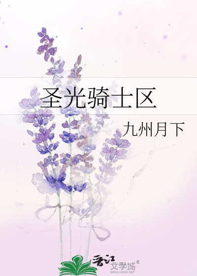 圣光骑士区