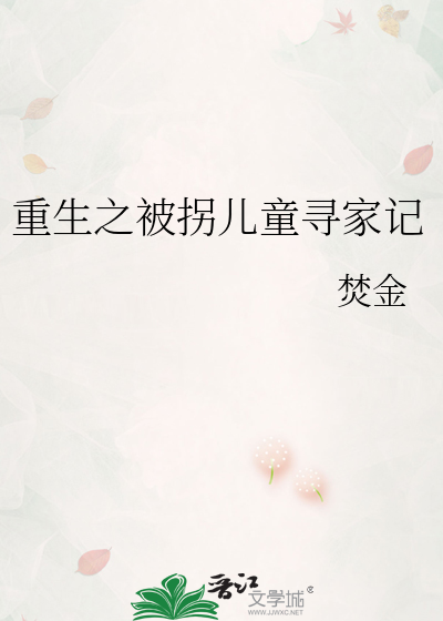 重生之被拐儿童寻家记