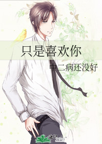 只是喜欢你