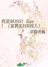 我是BOSS！due！（家教KHR同人）