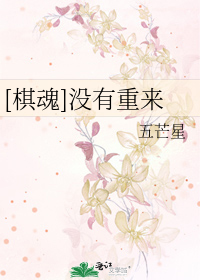 [棋魂]没有重来