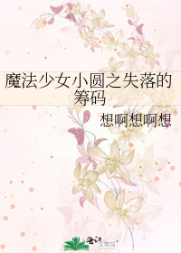 魔法少女小圆之失落的筹码