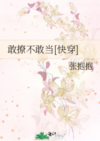 女主是傻子有四个婢女的小说