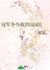 冠军争夺战[综运洞]