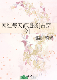 网红每天都遇袭[古穿今]