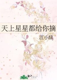 公车系例一部分