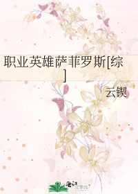 职业英雄萨菲罗斯[综]