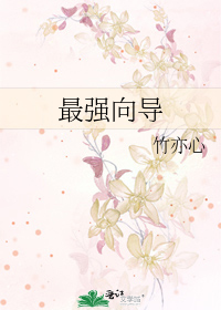 最强向导
