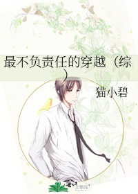 最不负责任的穿越（综）