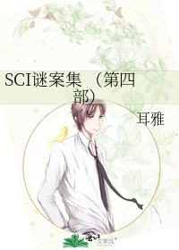 浪莎男士夏季袜子