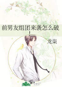 有没有类似高昌王妃的小说