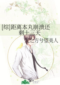 [综]距离本丸崩溃还剩十三天