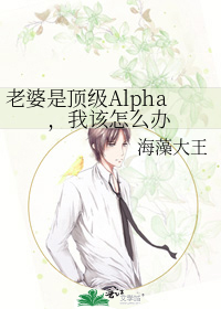 老婆是顶级alpha,我该怎么办