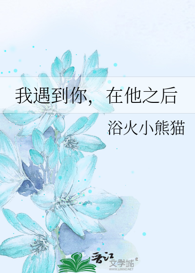 我遇到你，在他之后