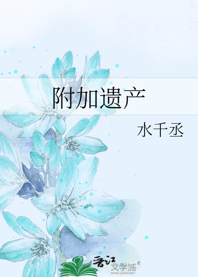 附加遗产