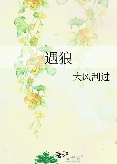 风华妙手小说全部免费