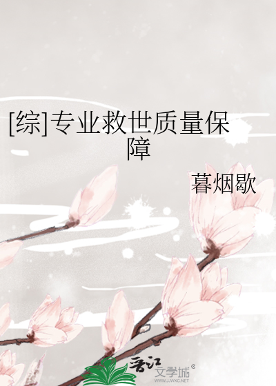 [综]专业救世质量保障