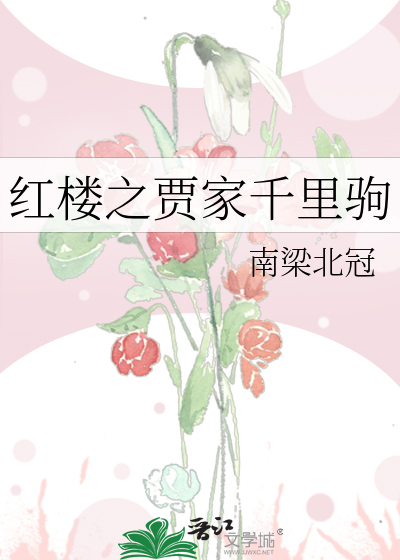 红楼之贾家千里驹