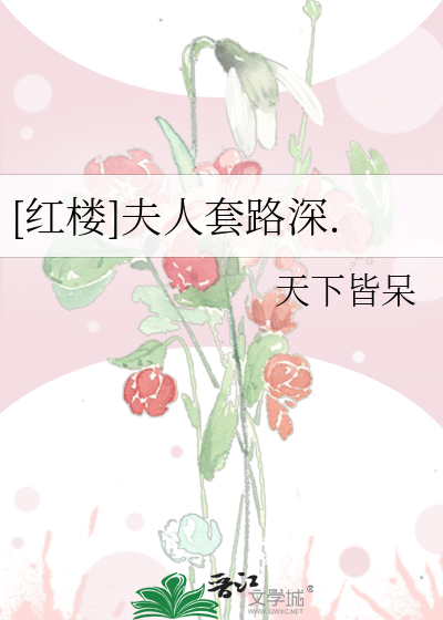 [红楼]夫人套路深.