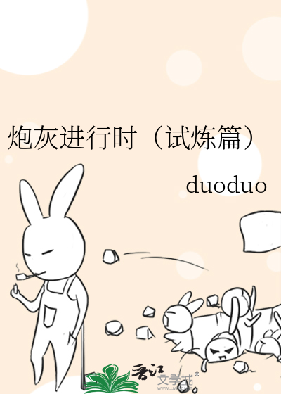 关于杨贵妃的小说