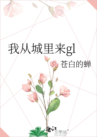 我从城里来gl