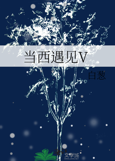 当西遇见V