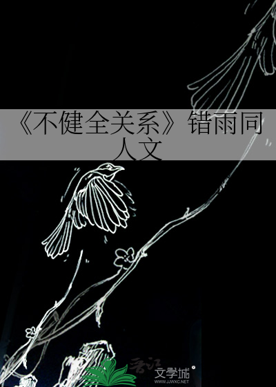 不健全关系 错雨同人文 薛尛尛 衍生小说 纯爱小说 晋江文学城